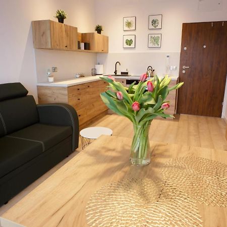 Apartament Na Piernikowym Z Miejscem Postojowym Torun Exterior photo